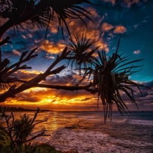 Meet your Posher, Max